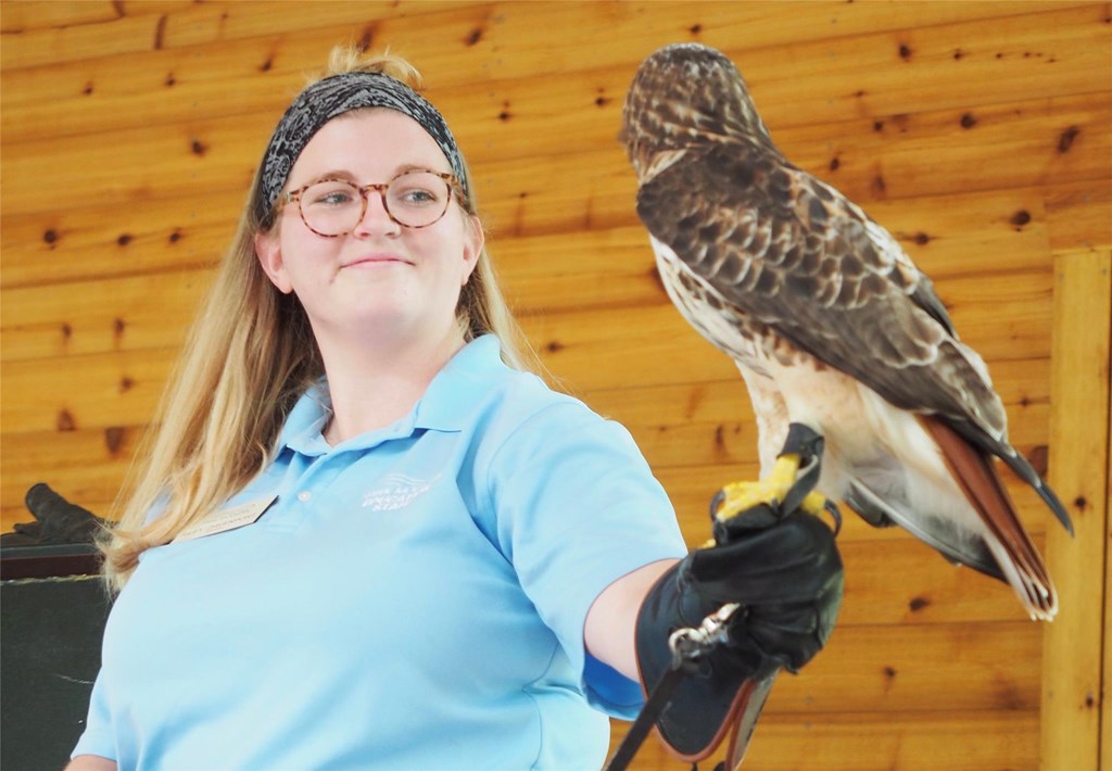 Educator Riley with Red-tailed Hawk Educator Riley with Red-tailed Hawk