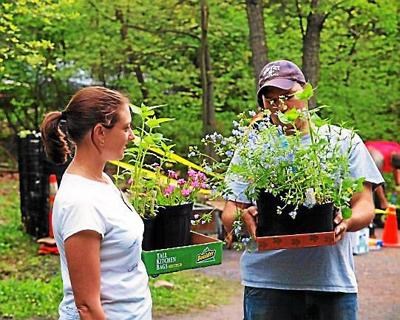 spring native plant sale