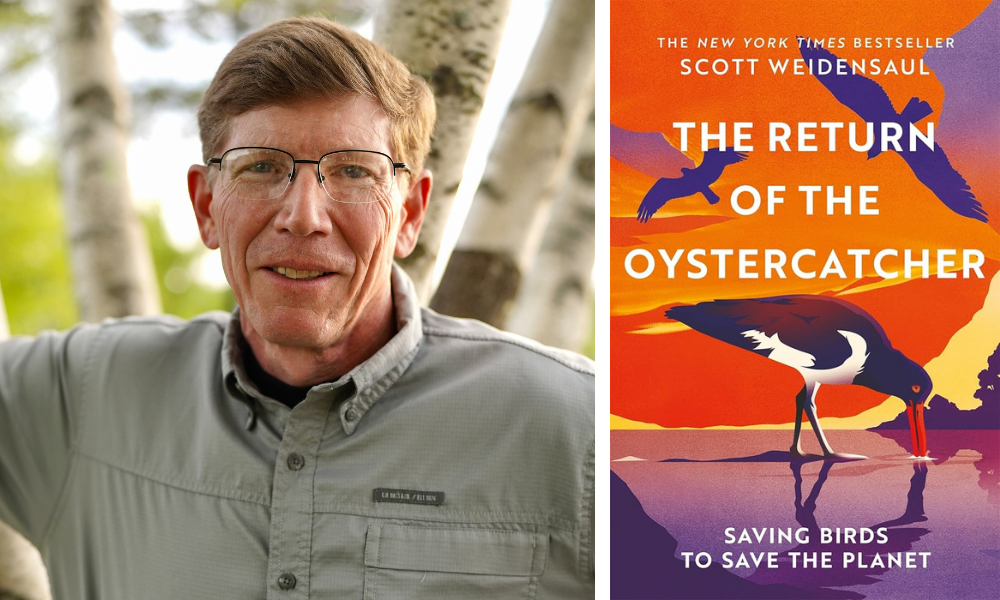Scott Weidensaul and his book The Return of the Oystercatcher