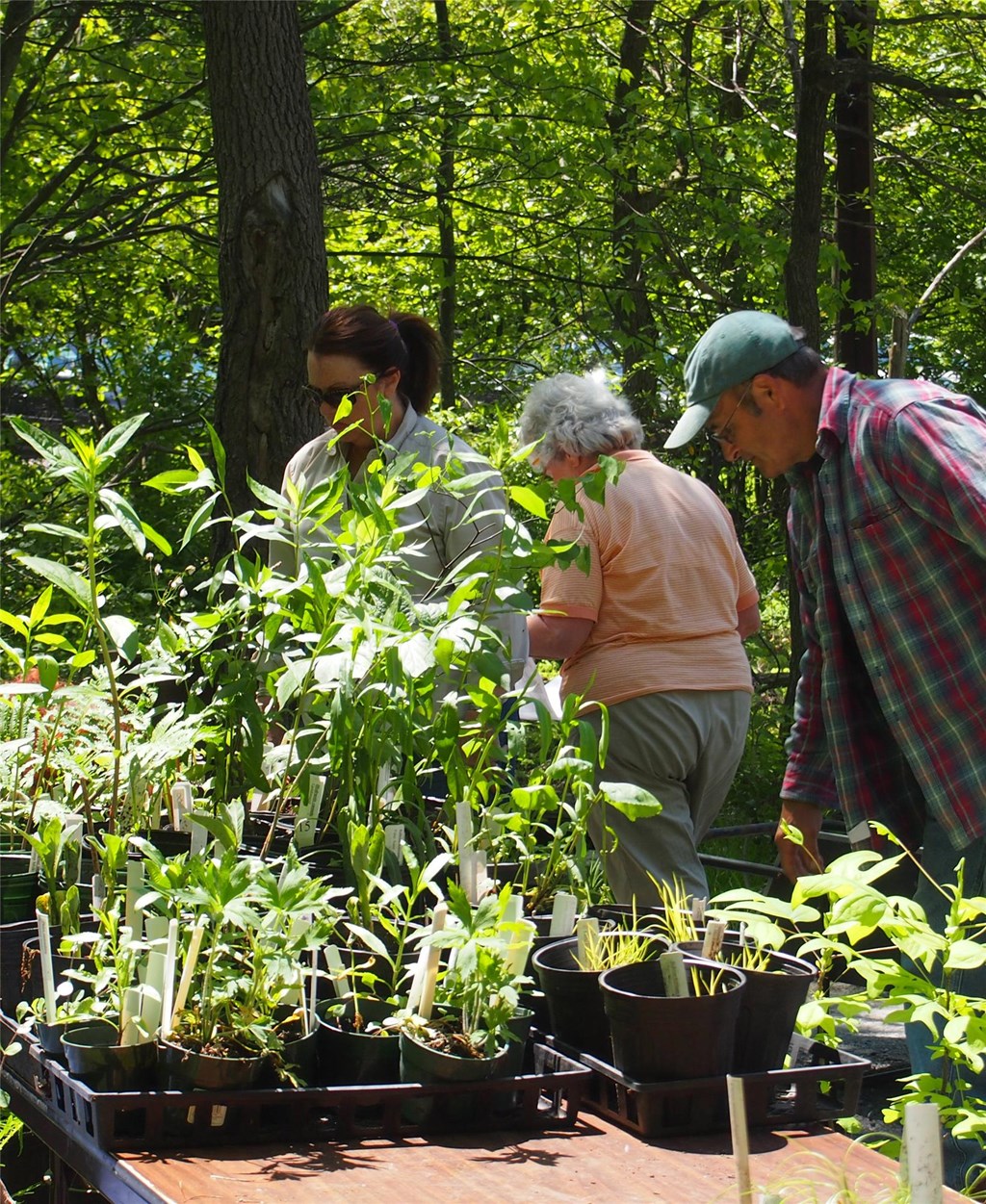 Volunteers setting up the Spring Plant Sale Volunteers setting up the Spring Plant Sale
