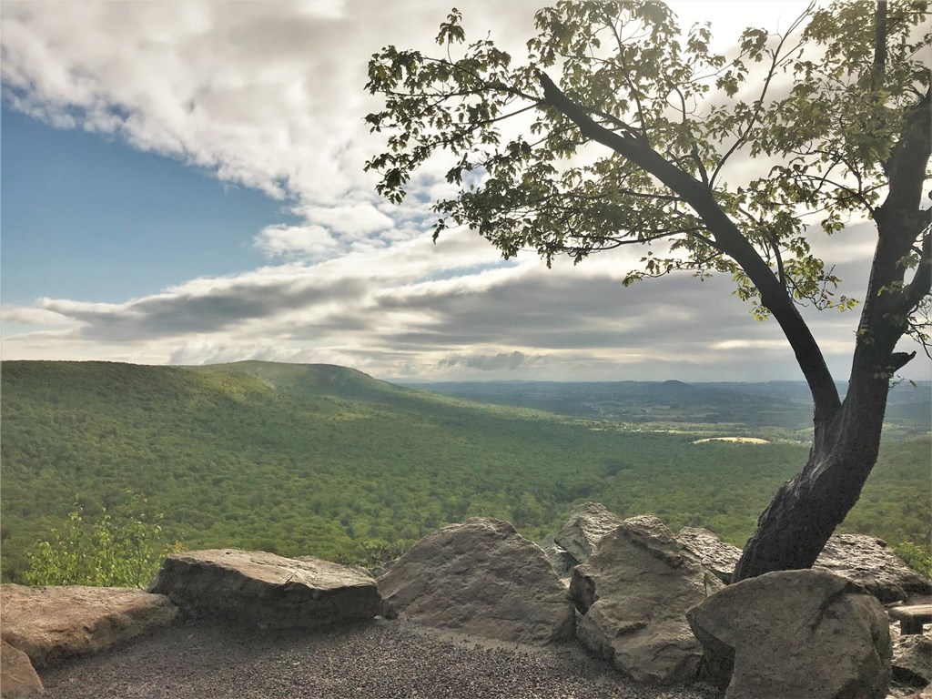 South Lookout in May