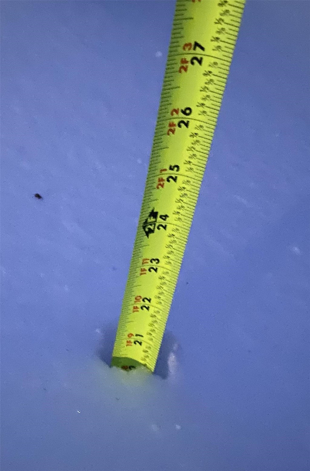 Over 20 inches of snow fell during the Jan-Feb 2021 snow storm!