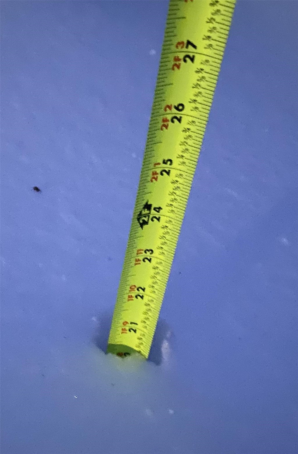 Over 20 inches of snow fell during the Jan-Feb 2021 snow storm! Over 20 inches of snow fell during the Jan-Feb 2021 snow storm!