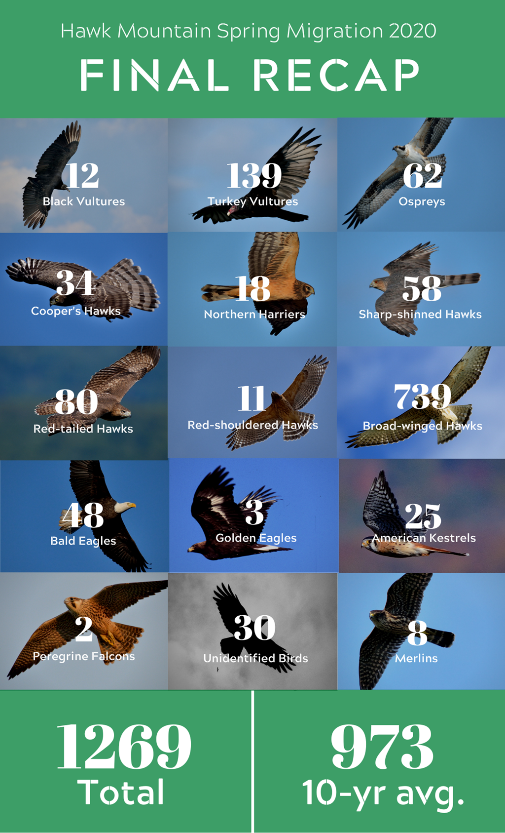 Spring 2020 Raptor Count