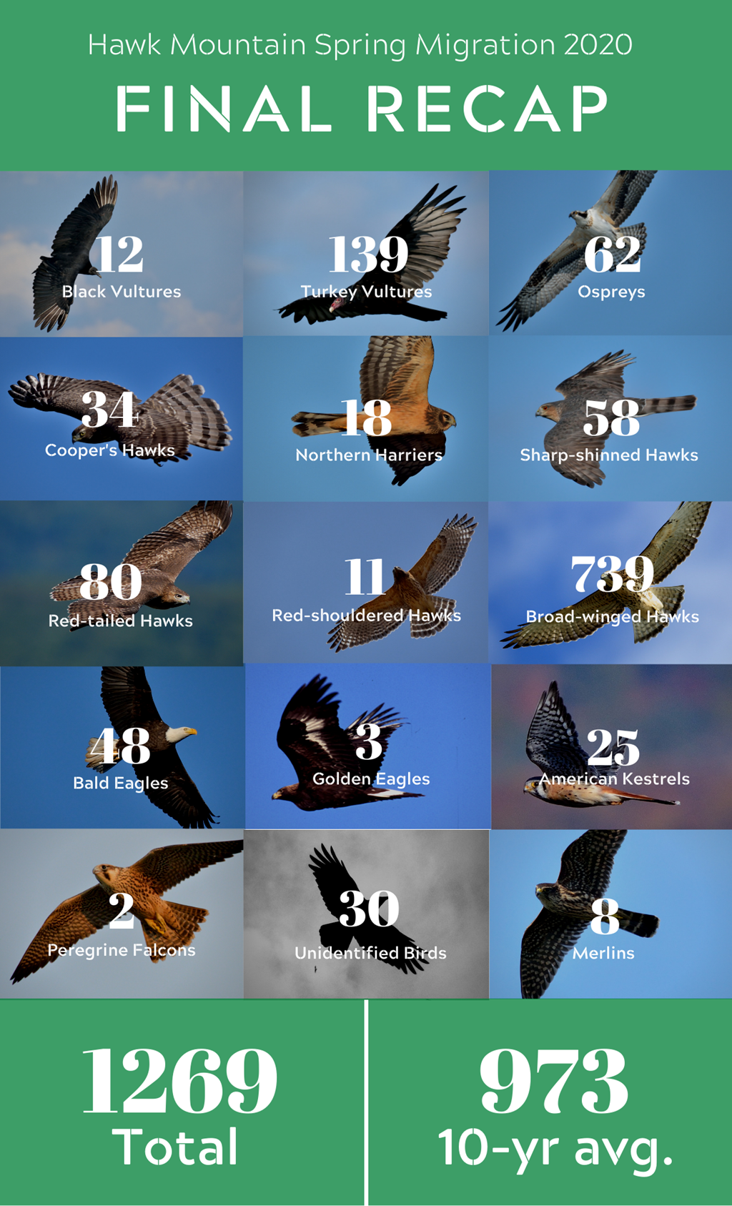 Spring 2020 Raptor Count Spring 2020 Raptor Count