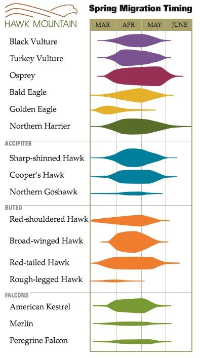 Spring Migration Timing Chart