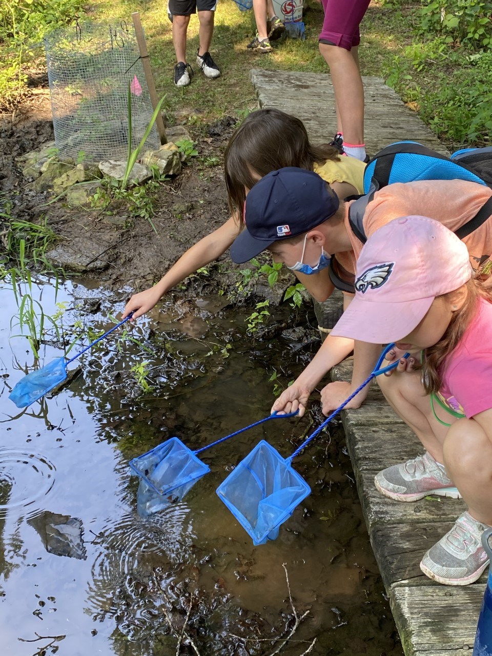 Summer camp attendees learning about stream ecology