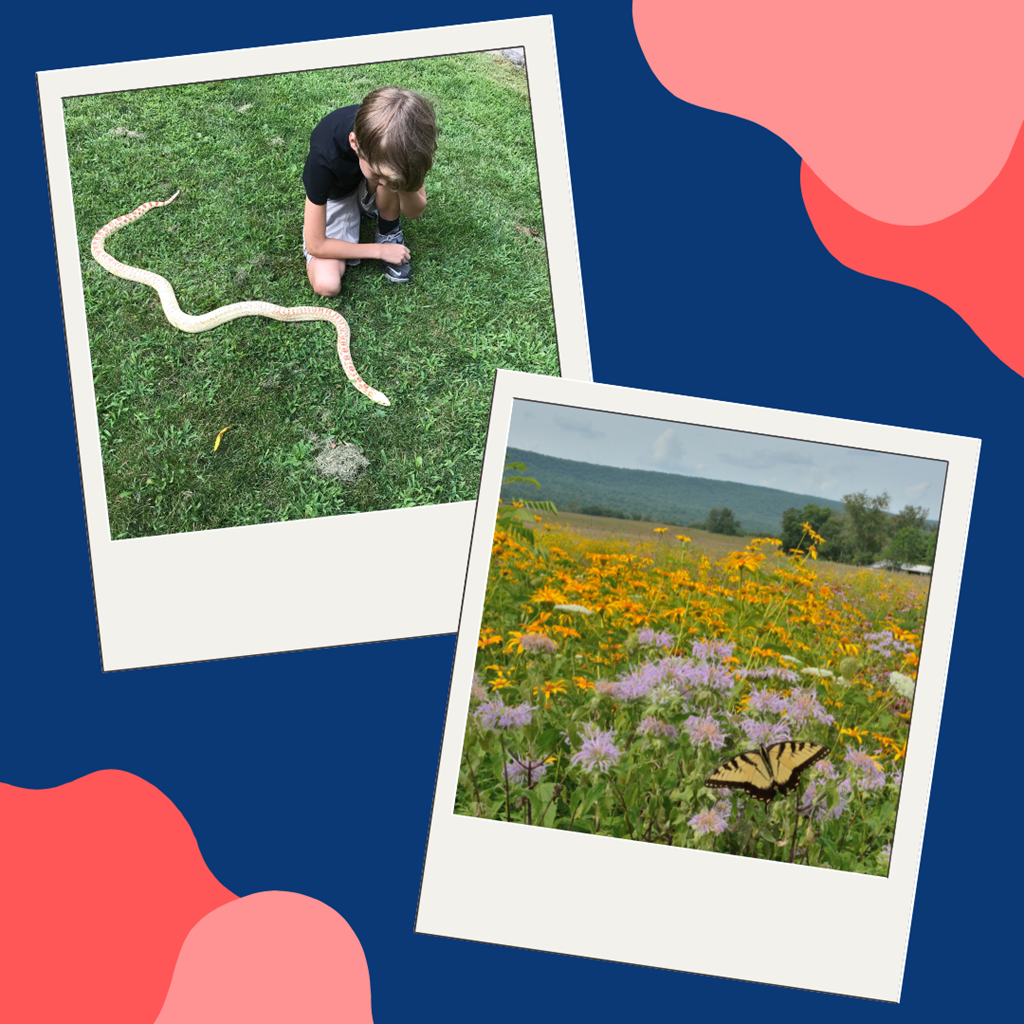 Child looking at a snake crawling through the grass, landscape view of a wildflower field Child looking at a snake crawling through the grass, landscape view of a wildflower field