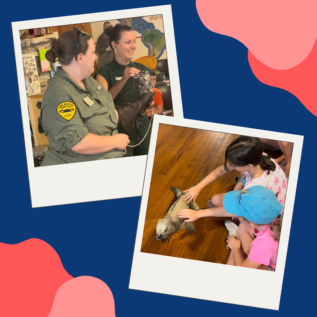 Educator and vet demonstrate examining a screech owl, children petting a large lizard Educator and vet demonstrate examining a screech owl, children petting a large lizard