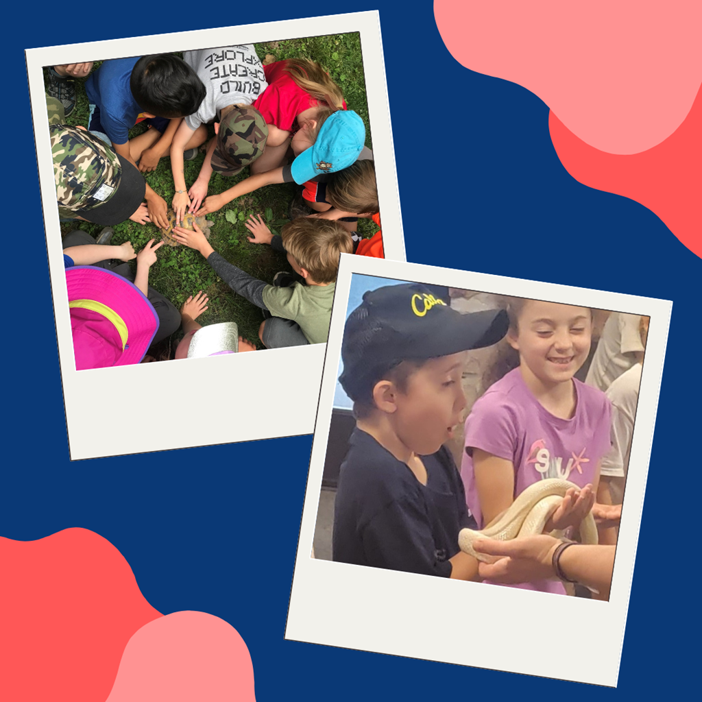 Children petting a turtle and holding a snake Children petting a turtle and holding a snake