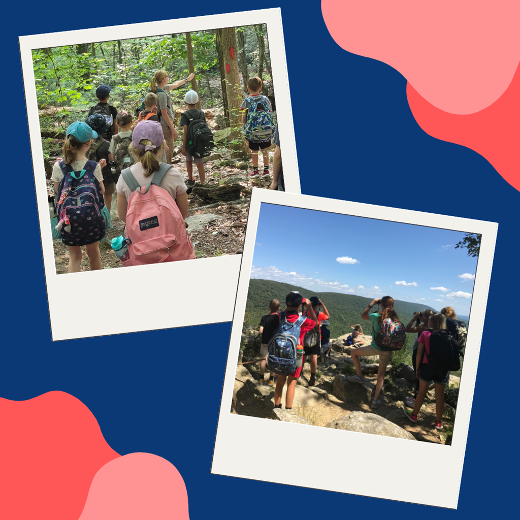 Children Hiking through Hawk Mountain Trails and Lookouts Children Hiking through Hawk Mountain Trails and Lookouts