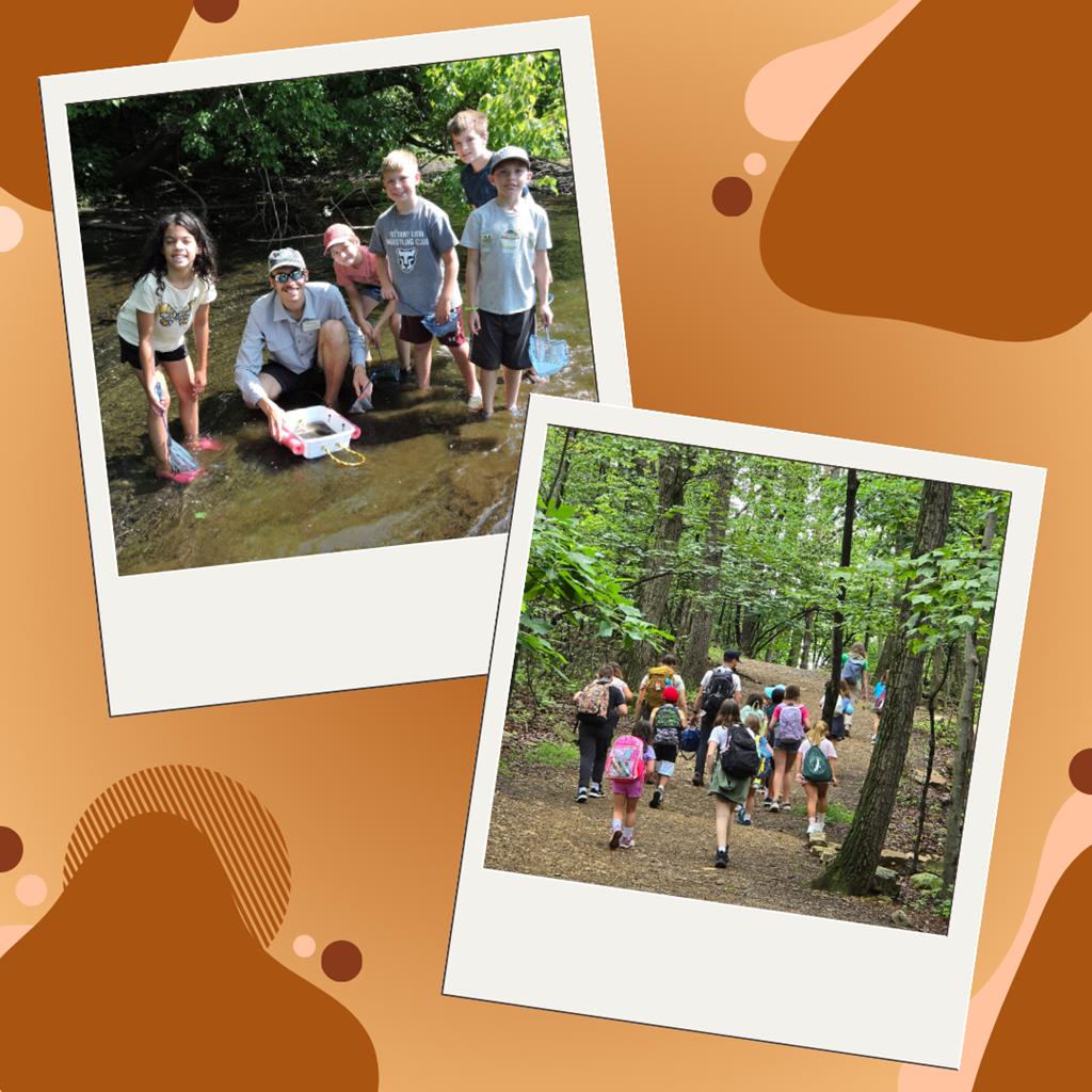 Summer Campers exploring the stream and hiking a trail