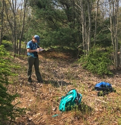 Surveying