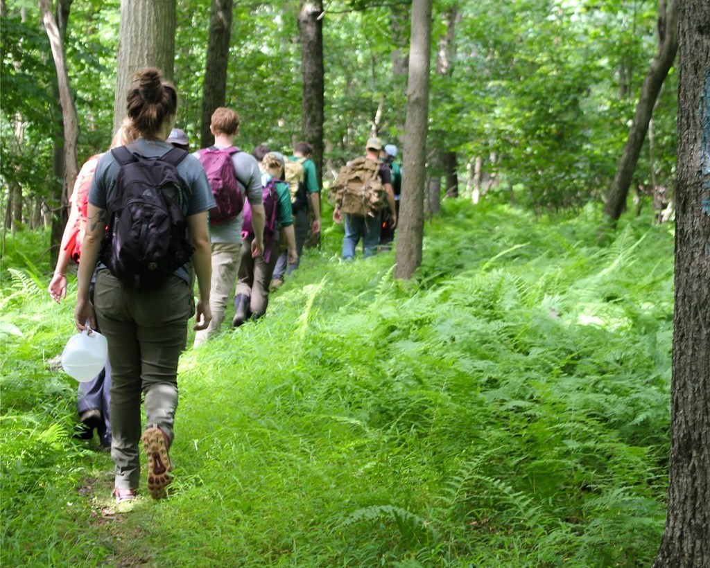 Stew Crew Hiking in the Forest Stew Crew Hiking in the Forest