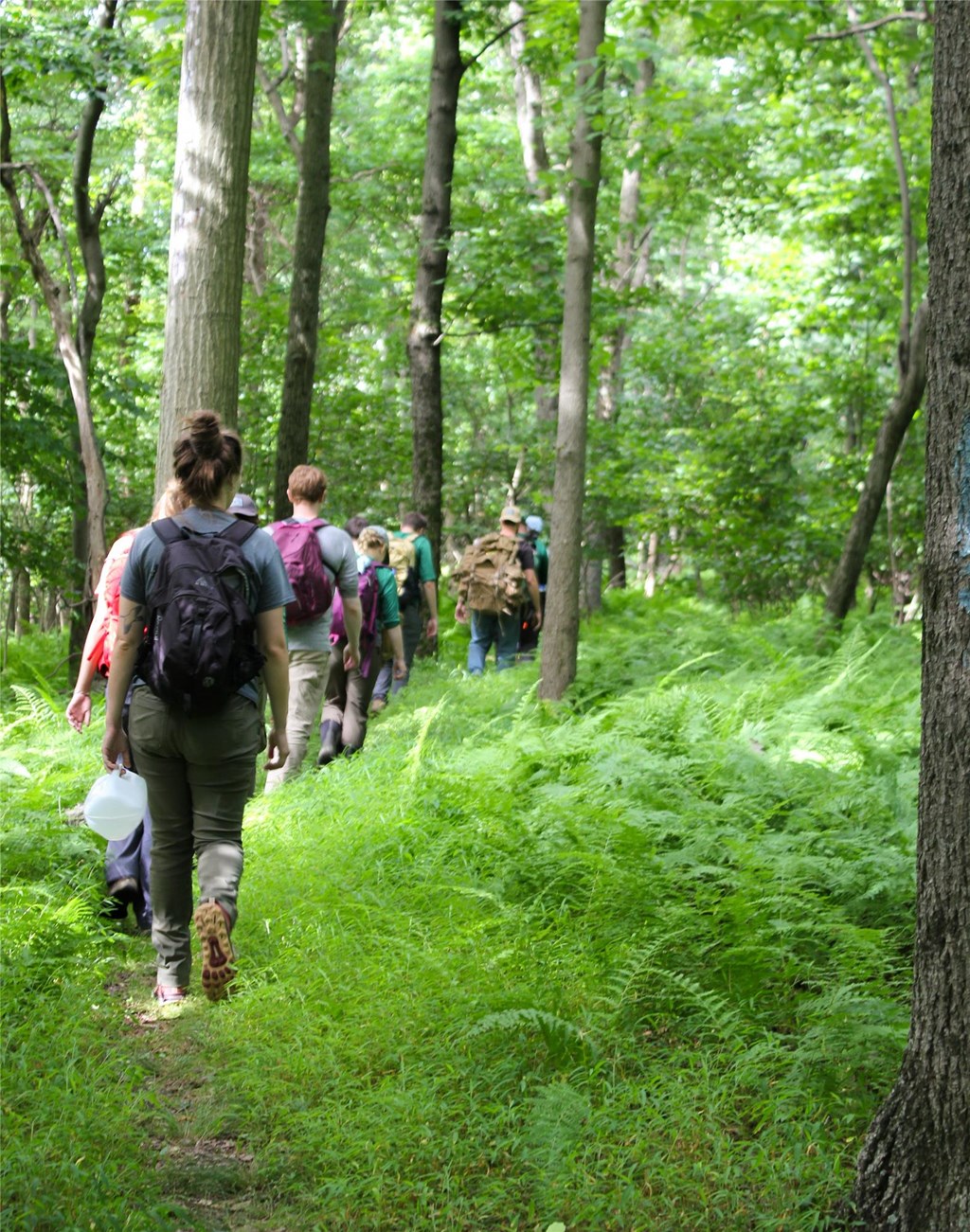 Stewardship Crew hiking to forest survey plots