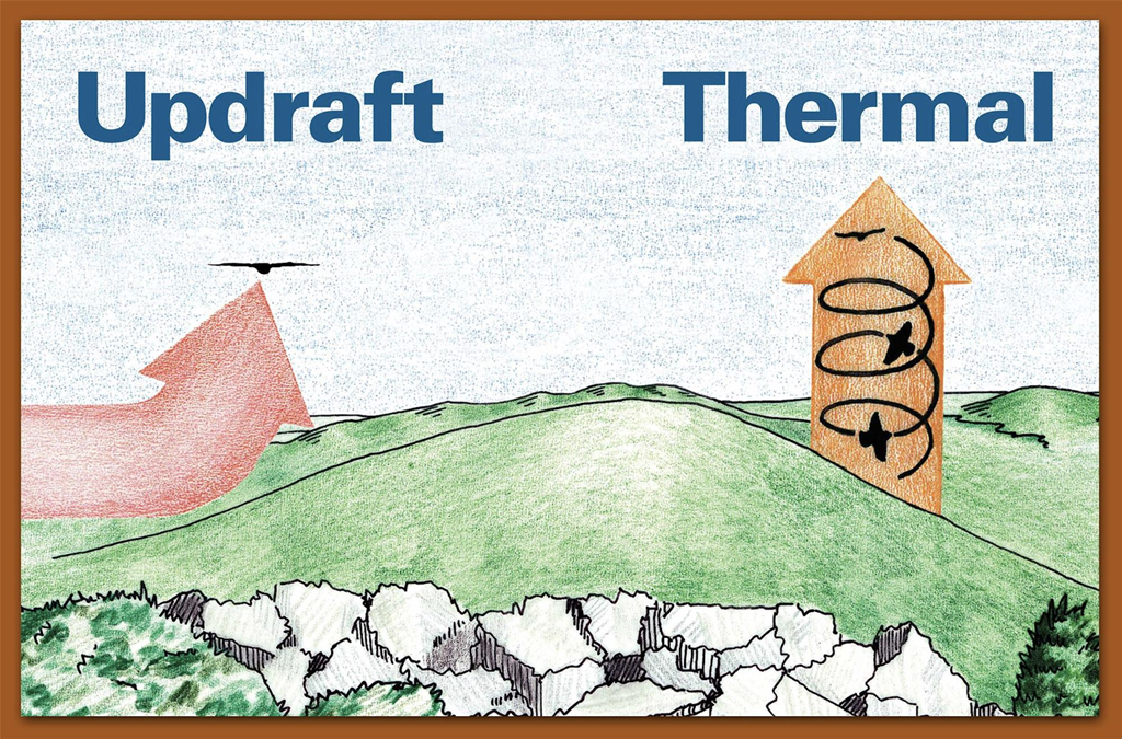 An Illustration of Birds Traveling on Updrafts vs. Thermals An Illustration of Birds Traveling on Updrafts vs. Thermals