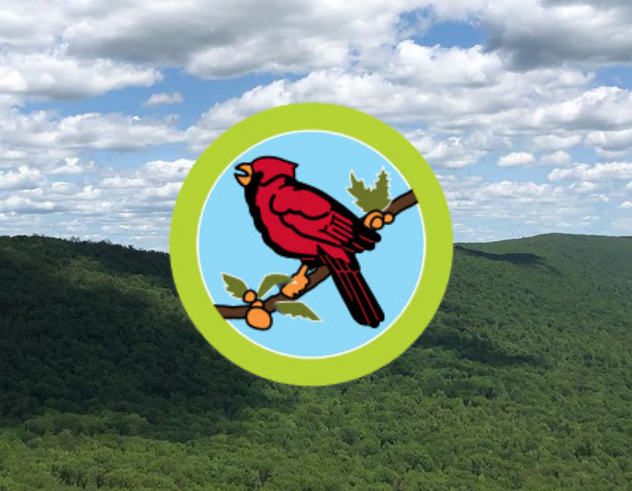 Boy Scout Merit Badge Day: Bird Study