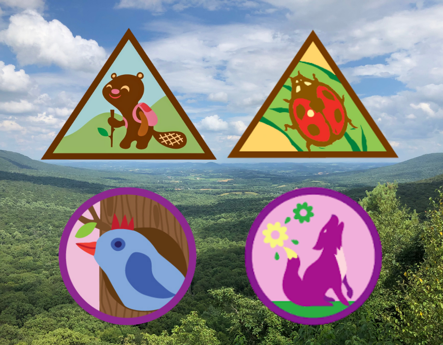 Girl Scout Merit Badge Day
