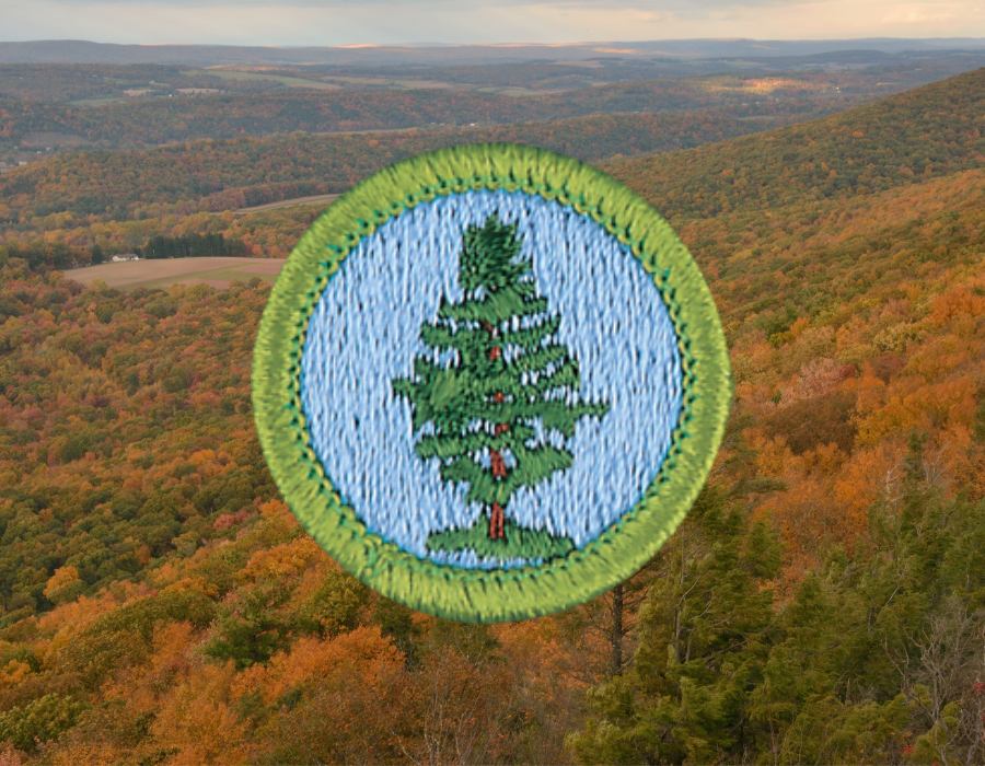 Boy Scout Forestry Merit Badge