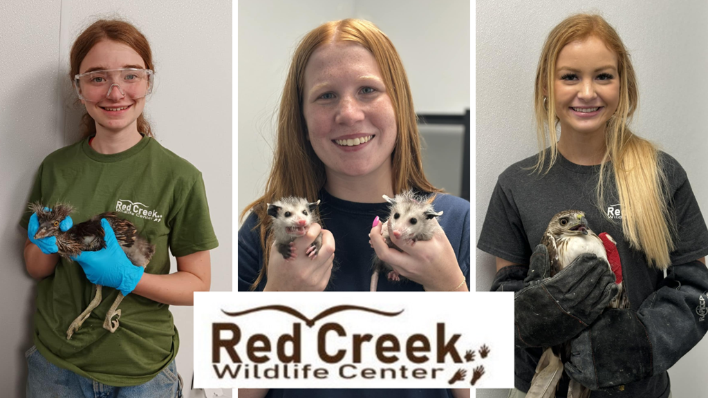 Red Creek Wildlife Center rehabbers with various animals Red Creek Wildlife Center rehabbers with various animals