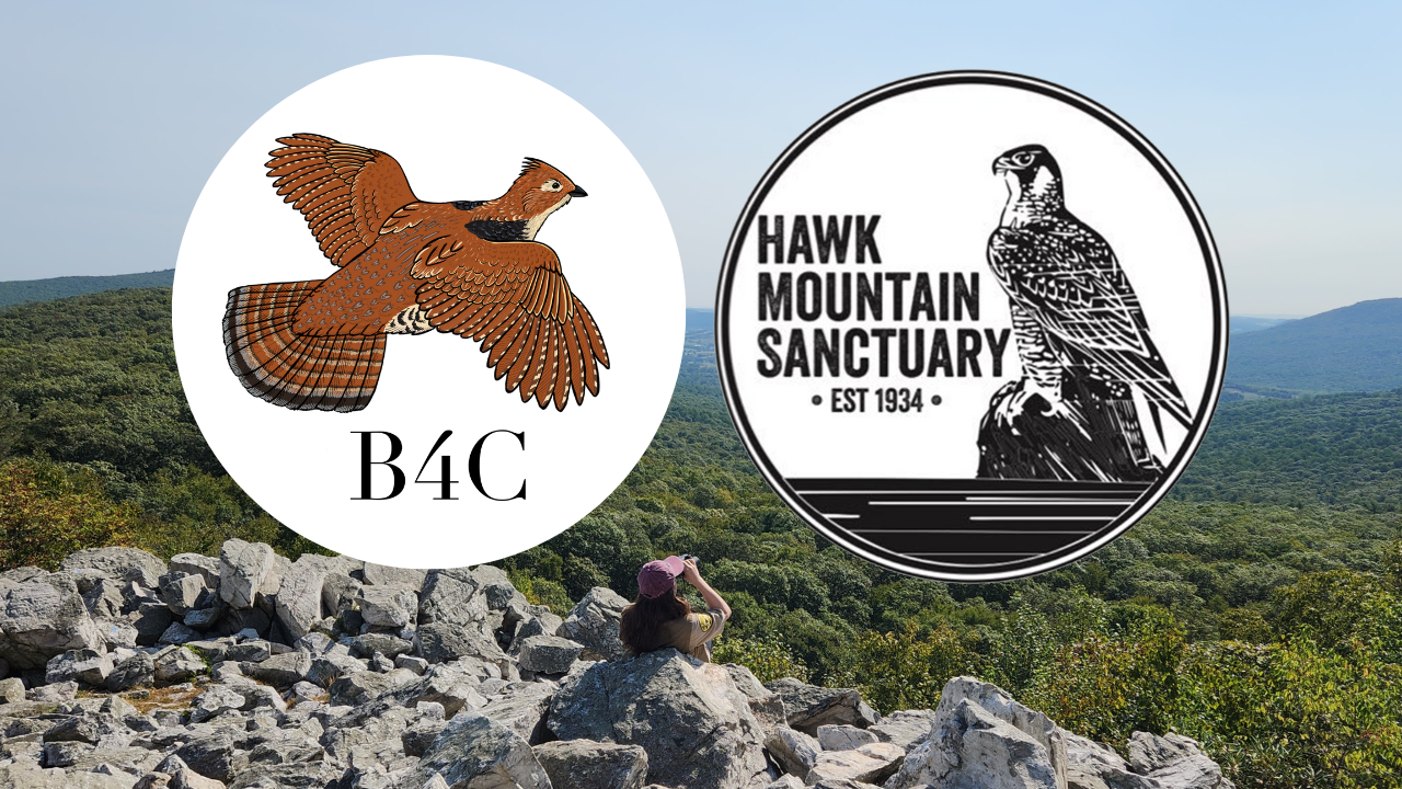 Hawk Mountain Returns to Participate in Annual Breeding Bird Blitz for ...