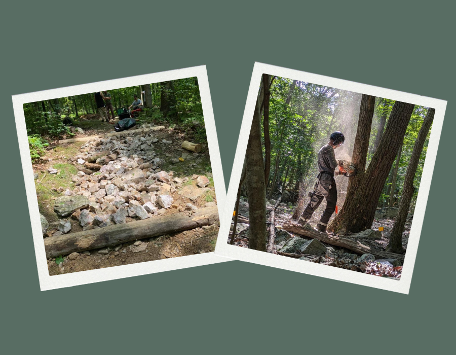 Trail and Forest Road Maintenance as Forest Management