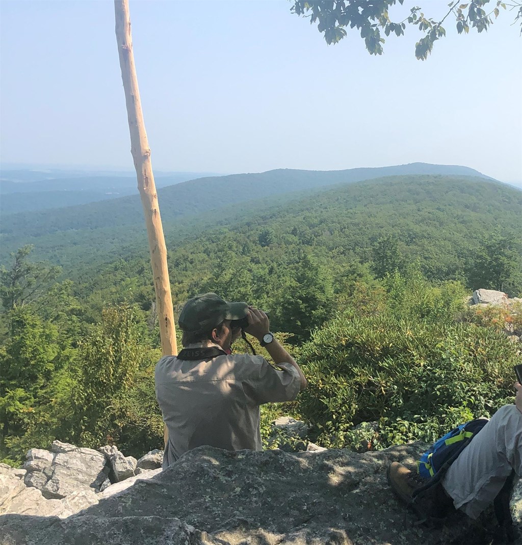 Trainee at North Lookout