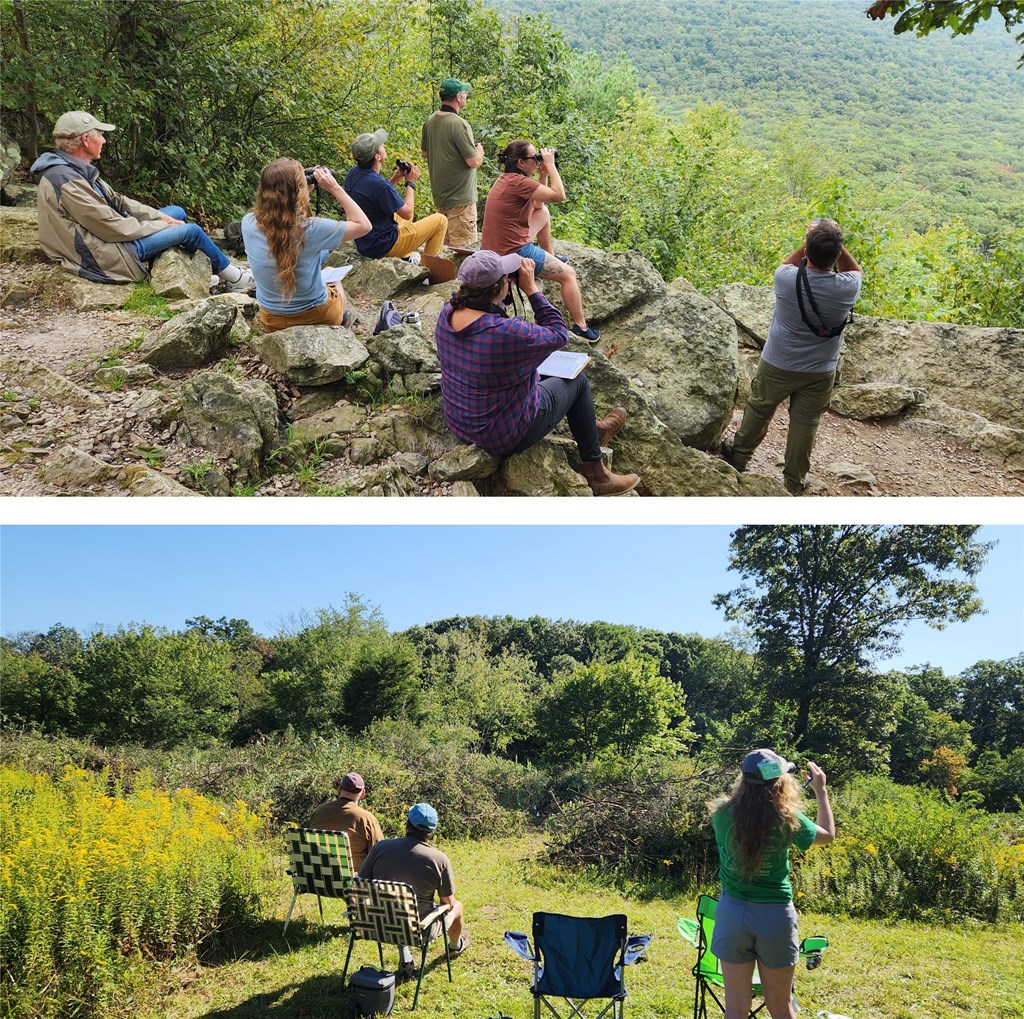 Kittatinny Hawkwatch Site Counters at HMS and 183 