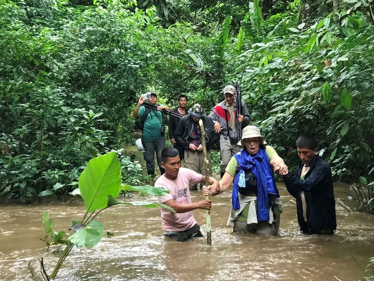 Group of people walking through muddy waters during a flood. People Traversing Flood Waters
