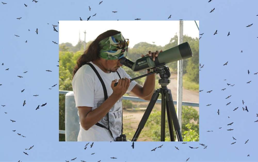 Veracruz River of Raptors Migration Graphic Veracruz River of Raptors Migration Graphic