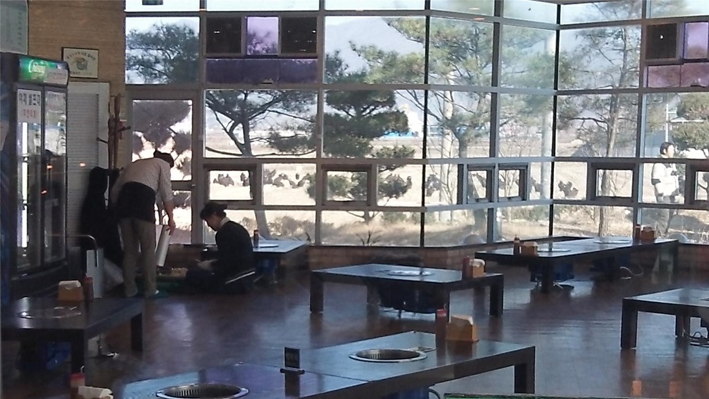 vulture restaurant in korea