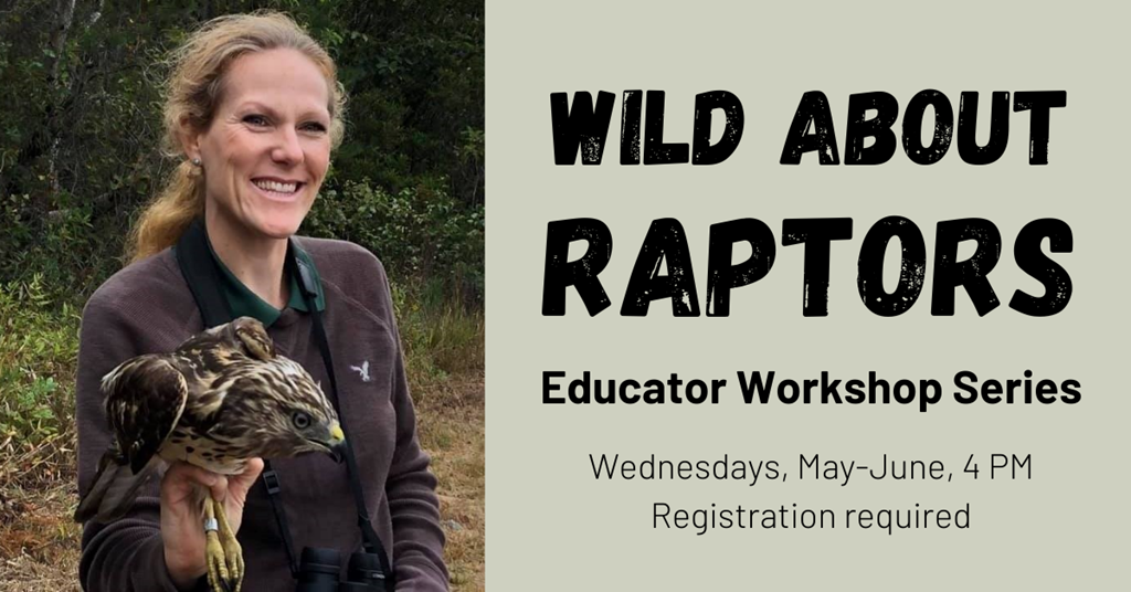 Wild About Raptors workshop series