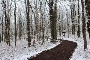 Silhouette Trail in Winter