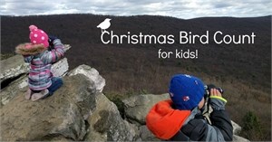 Christmas Bird Count for Kids Christmas Bird Count for Kids