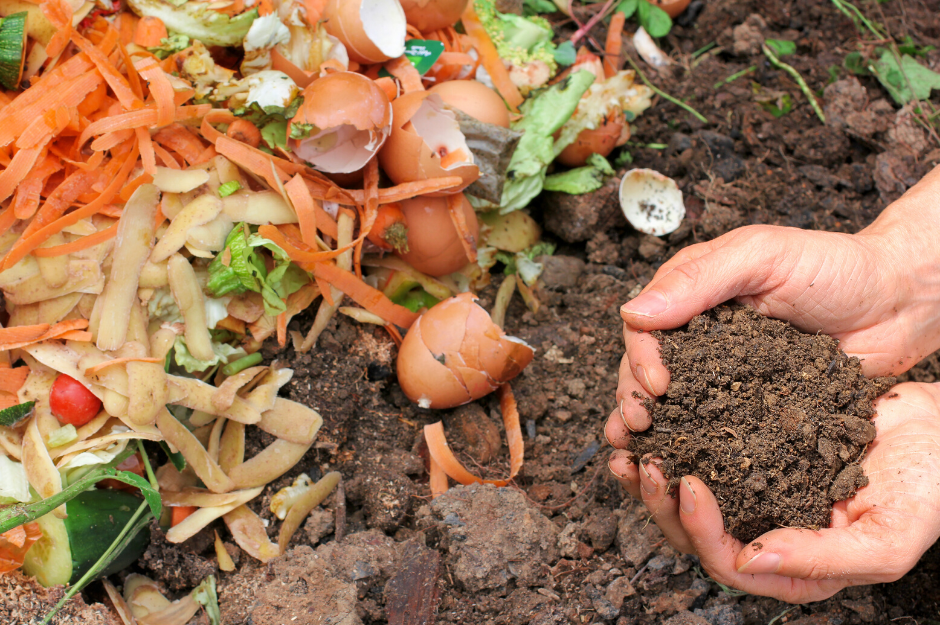 Composting Food Scraps Composting Food Scraps